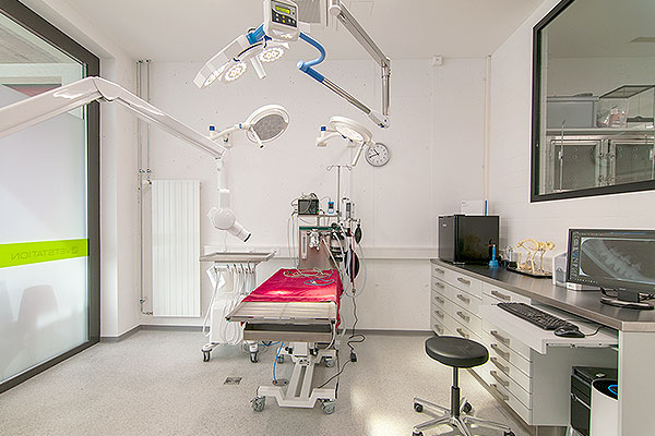Tierklinik Zahnzentrum